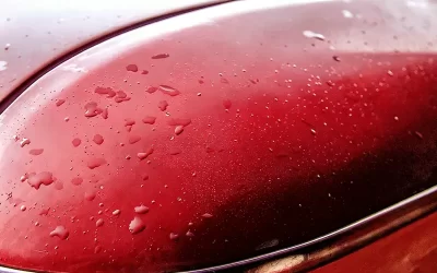 Osmotic Blistering Automotive Paint: Causes, Prevention, and SYNEW’s Professional Analysis